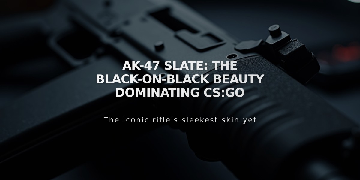 AK-47 Slate: The Black-on-Black Beauty Dominating CS:GO