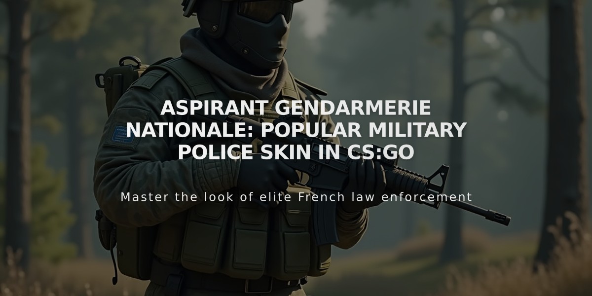 Aspirant Gendarmerie Nationale: Popular Military Police Skin in CS:GO