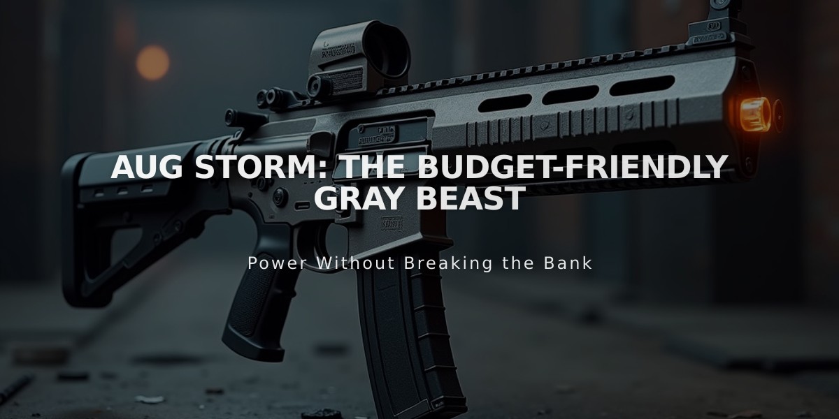 AUG Storm: The Budget-Friendly Gray Beast