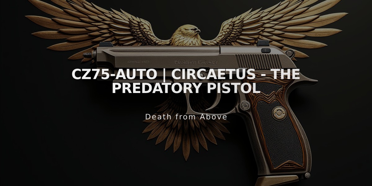 CZ75-Auto | Circaetus - The Predatory Pistol