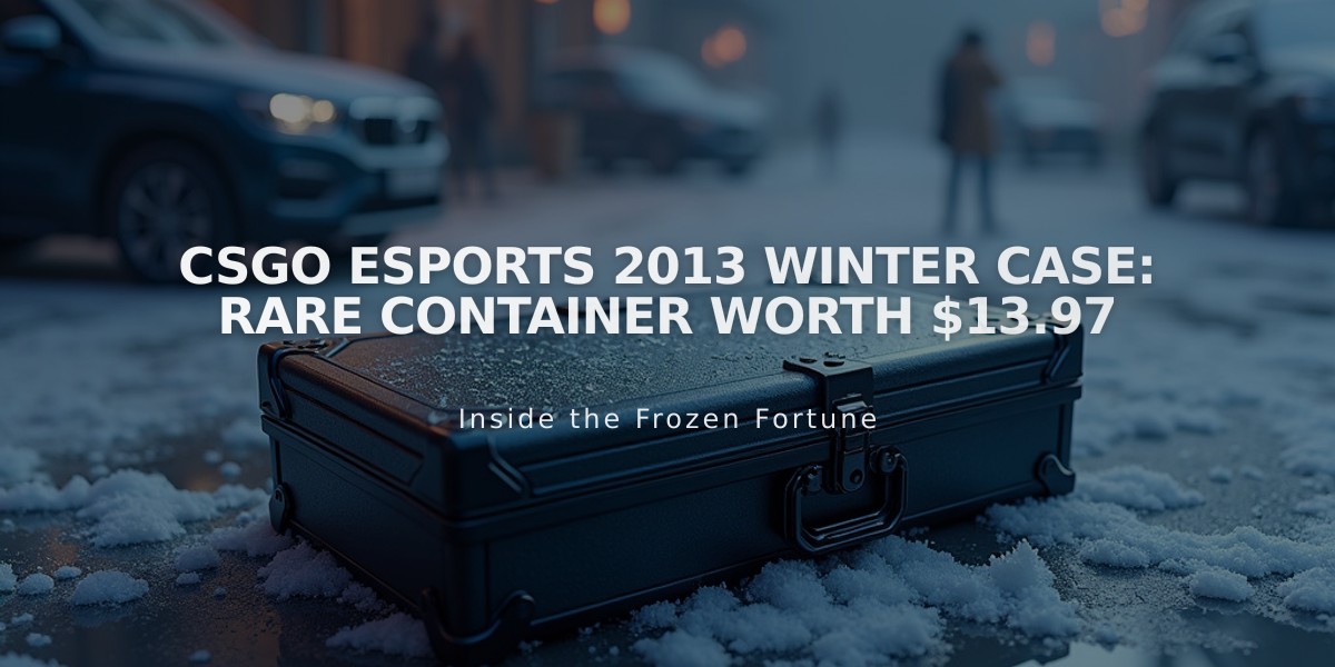 CSGO eSports 2013 Winter Case: Rare Container Worth $13.97