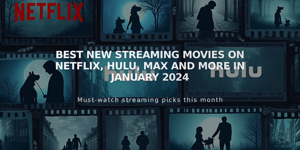 Best new streaming movies on Netflix, Hulu, Max and more in January 2024